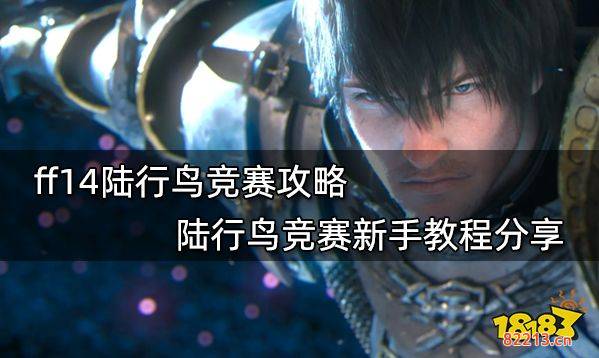 ff14陆行鸟竞赛攻略 陆行鸟竞赛新手教程分享