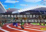 我的世界海底神殿指令是多少 2022MC海底神殿指令分享