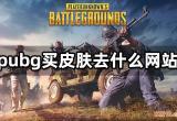 pubg买皮肤去什么网站 吃鸡饰品交易平台推荐