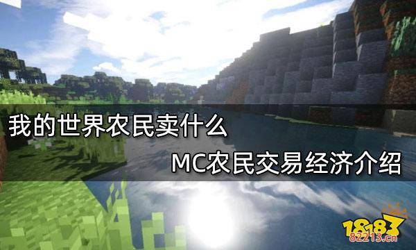 我的世界农民卖什么 MC农民交易经济介绍