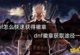 dnf怎么快速获得徽章 dnf徽章获取途径一览