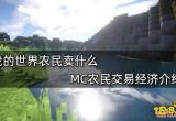 我的世界农民卖什么 MC农民交易经济介绍