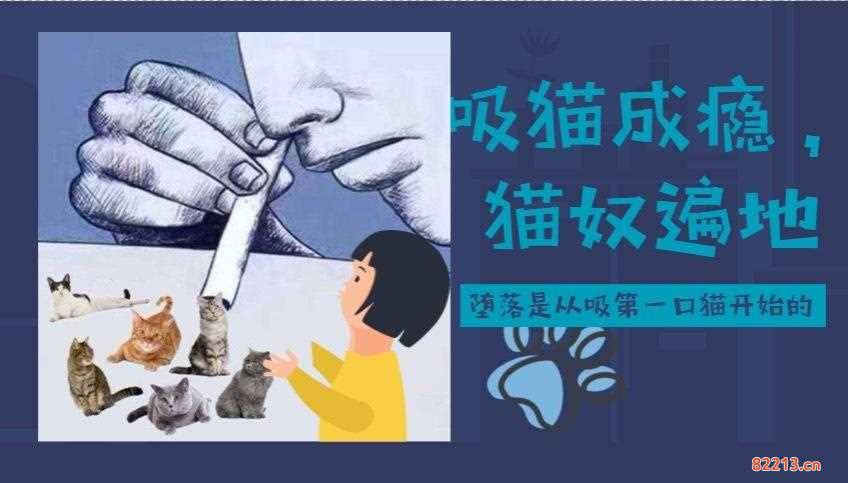 吸猫毒是什么情况-吸猫毒是什么情况警察为何抓