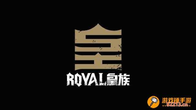 ryl战队 ryl战队和rng战队区别