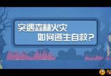 逃生视频剧情流程攻略-逃生视频剧情流程攻略解说